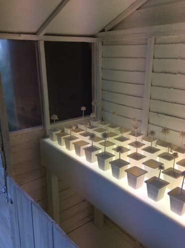 Lorna Photo 10-04-2015 15 18 19