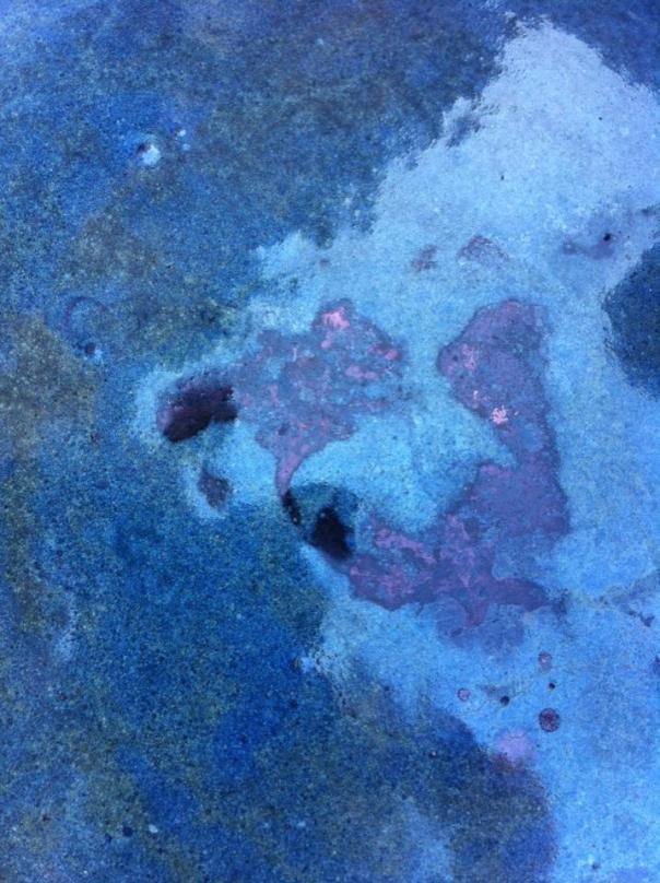 13006671_10209228354056511_3996096800273241435_n